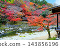 Landscape with autumn leaves Landscape with autumn leaves 143856196