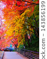 A path adorned with autumn leaves (vertical) A path adorned with autumn leaves (vertical) 143856199