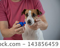 A woman brushes a dog's teeth using a toothbrush holder. Pet toothbrush holder.  143856459