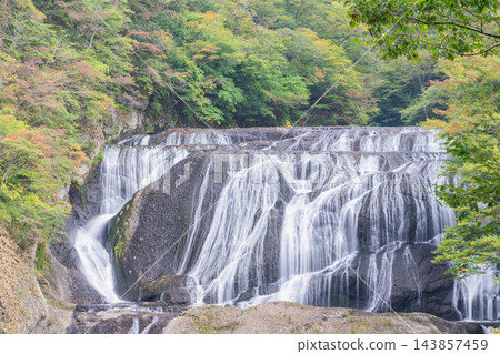 秋天的色彩開始在茨城縣醍醐町的袋田瀑布顯現——袋田瀑布是日本三大著名瀑布之一。 秋天的色彩開始在茨城縣醍醐町的袋田瀑布顯現——袋田瀑布是日本三大著名瀑布之一。 143857459