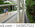 A couple walks their dog in the new pedestrian walkway at Hamamatsucho Station, looking up at the monorail. 143857522