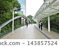 Businessmen walk through the new pedestrian walkway at Hamamatsucho Station, looking up at the monorail. 143857524