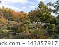 Autumn scenery at Mukojima Hyakkaen Garden: The colorful trees and pampas grass beautifully frame the pond. 143857917