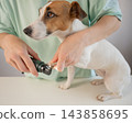 A Jack Russell Terrier getting his nails filed with a grinder at a grooming salon. 143858695