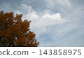 Clouds floating in the autumn sky and trees with autumn foliage. 143858975