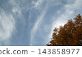Clouds floating in the autumn sky and trees with autumn foliage. 143858977