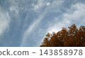 Clouds floating in the autumn sky and trees with autumn foliage. 143858978