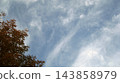 Clouds floating in the autumn sky and trees with autumn foliage. 143858979