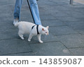 The owner puts the cat into a transparent carrier backpack. 143859087