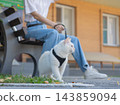 The owner puts the cat into a transparent carrier backpack. 143859094