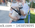 The owner puts the cat into a transparent carrier backpack. 143859095
