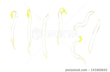 綠豆芽套裝 - 手繪水彩插畫素材 綠豆芽套裝 - 手繪水彩插畫素材 143860693