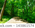 Forest hiking 143861574