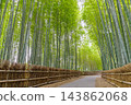 知多竹林（愛知縣知多市） 143862068
