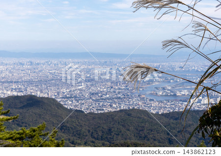 秋日山頂景色與蘆葦叢交相輝映 143862123