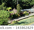 A train stopped in the middle of the forest 143862829