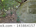 神戶市,摩耶山,371公尺山,防空砲陣地,太平洋戰爭遺址 神戶市,摩耶山,371公尺山,防空砲陣地,太平洋戰爭遺址 143864157