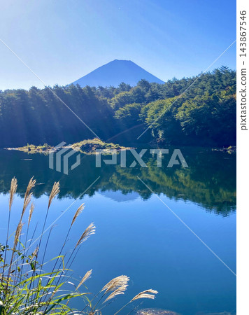 精進湖和富士山(山梨縣富士河口湖町) 精進湖和富士山(山梨縣富士河口湖町) 143867546