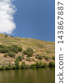 Terraced vineyards above the douro river in portugal 143867887
