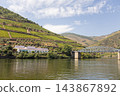 Terraced vineyards, river and steel bridge in portugal's douro valley 143867892