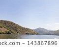 Train traveling through the terraced douro valley beside the river 143867896