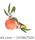 Watercolor composition with a whole peach, a peach slice, leafy branches and pink blossoms, for food packaging, recipe books and summer-themed designs 143867926