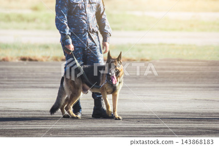 Soldiers from the K-9 unit demonstrations to attack the enemy , the green lawns. Soldiers from the K-9 unit demonstrations to attack the enemy , the green lawns. 143868183