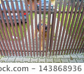 German Shepherd guard dog behind wooden fence at suburban driveway, daytime 143868936
