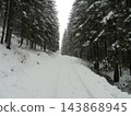 Spruce forest road in winter with fresh snow, overcast day 143868945