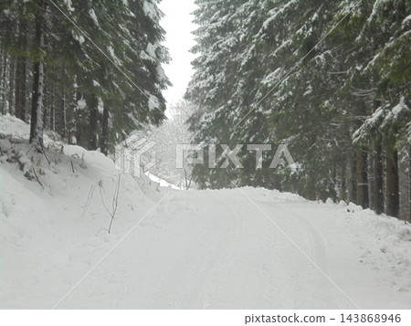Czech spruce forest road in winter, snow-covered on overcast day Czech spruce forest road in winter, snow-covered on overcast day 143868946