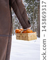 Rear view of a blonde woman in a stylish long winter coat walking along a snowy forest path while holding a wooden basket filled with fresh tangerines. 143869317