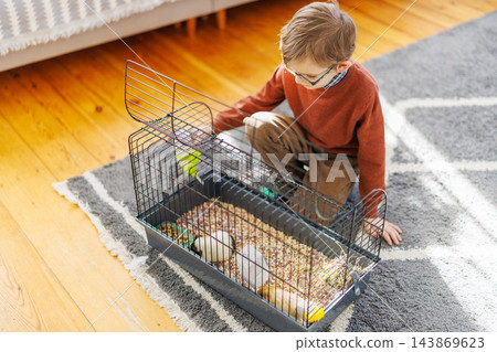 Boy caring for pet rodents in cage at home Boy caring for pet rodents in cage at home 143869623