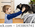 Young boy bonding with Siberian Husky at home 143869741