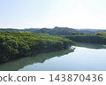 種子島南部阿賀川紅樹林地區 143870436
