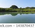 種子島南部阿賀川紅樹林地區 143870437