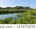 種子島南部阿賀川紅樹林地區 143870438