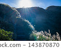 Silver Grass Trail on Qixing Mountain under Sunburst in Taipei, Taiwan 143870870