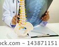 Doctor examining spine bone radiography xray film. 143871151