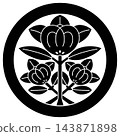 這是家徽，名為藥師寺家徽，又稱橘家徽。 143871898