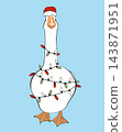 Funny goose in Santa hat wrapped in Christmas lights. Holiday goose icon, isolated vector illustration, 143871951