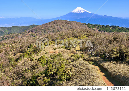 伊豆半島小達摩山:從伊豆山脊步道的草坡小徑上可以看到白雪皚皚的富士山。 伊豆半島小達摩山:從伊豆山脊步道的草坡小徑上可以看到白雪皚皚的富士山。 143872131