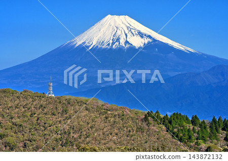 從伊豆半島伊豆山脊步道上的小達魯馬山眺望白雪皚皚的富士山。 從伊豆半島伊豆山脊步道上的小達魯馬山眺望白雪皚皚的富士山。 143872132