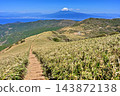 從伊豆半島的達摩山上眺望富士山，可以看到春天的景色。沿著伊豆山脊步道，一條山脊步道蜿蜒穿過竹林。 143872138