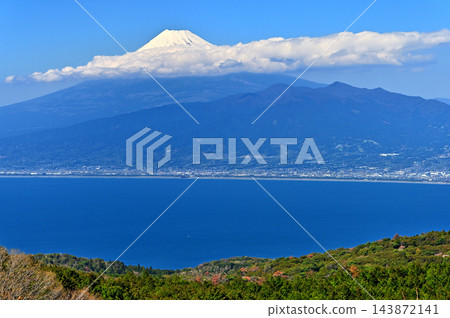 從靜岡縣伊豆市達摩山高原休息站眺望富士山。 143872141