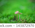 好朋友 好朋友 143872970