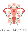 Female reproductive system with floral elements. Uterus illustration with flowers. Illustration. 143873939