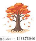 Autumn Tree with Falling Leaves isolated on white background. Illustration. 143873940