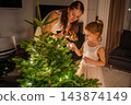 A woman and a girl arrange lights on a real Christmas tree in a living room. Decorating together prepares the home for Christmas and New Year. 143874149