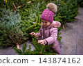 A girl touches the branches of a real Christmas tree on sale in Prague. Comparing trees turns holiday shopping into a hands on childhood experience. 143874162