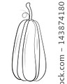 Pumpkin coloring page. Black and white outline vector illustration for autumn holidays worksheet. 143874180